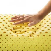 Zoned Dough® Chamomile - Image 3