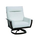 Smith Lake Luxe Swivel Rocker