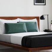 Zoned Dough™ + CBD Oil - Image 2