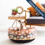 Ginger Cuddler Citrus - Image 2