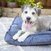 Millie Indoor/Outdoor Mattress - Image 5