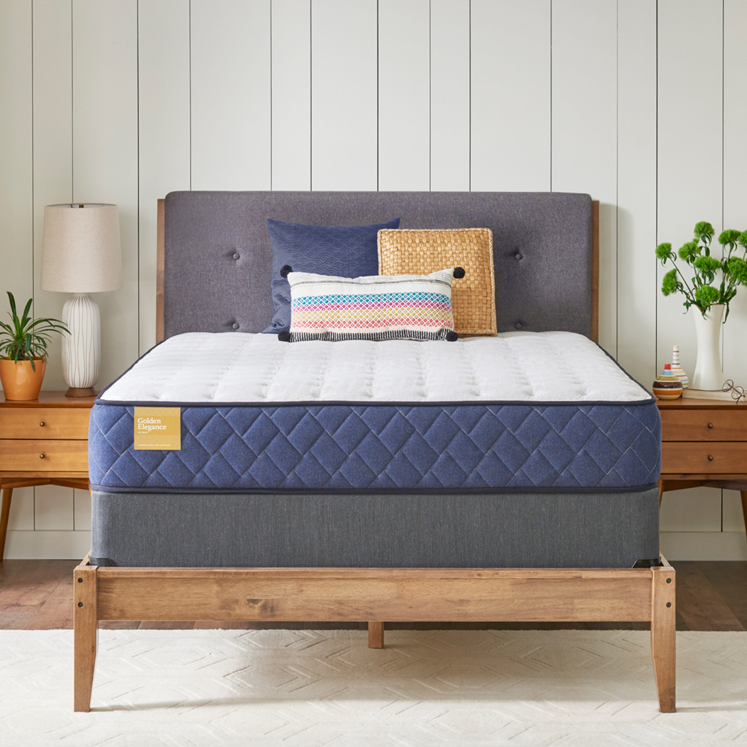 Sceptre Firm Tight Top